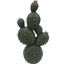 Dekorativní kaktus s květy jako zahradní dekorace