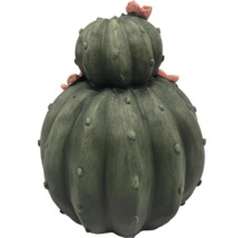 Dekorativní kaktus pro vnitřní i venkovní použití