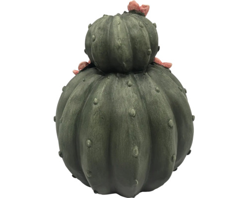Dekorativní kaktus pro vnitřní i venkovní použití