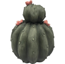 Dekorativní kaktus s květy pro venkovní použití