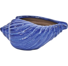 Modrý květináč ve tvaru mušle