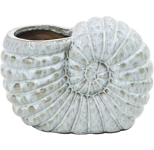 Květináč ve tvaru amonitové fosilie