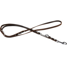 Hnědé kožené vodítko pro psy se stříbrnými kováními.