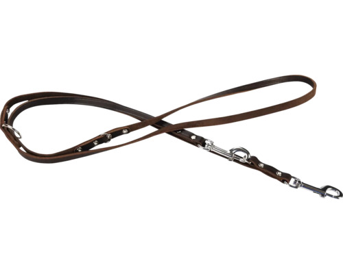 Hnědé kožené vodítko pro psy se stříbrnými kováními.