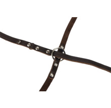 Kožený postroj s kovovými kroužky a nýty