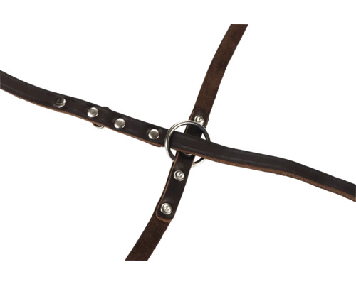 Kožený postroj s kovovými kroužky a nýty