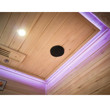 Strop sauny s osvětlením, reproduktorem a ventilací