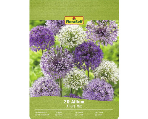 Okrasný česnek FloraSelf 'Allium Deco mix' 20 ks Balení okrasného česneku Allium Allure Mix s logem FloraSelf