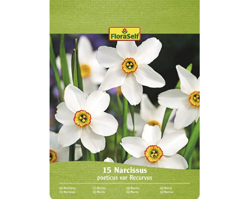 Narcisy FloraSelf 'Recurvus' 15 ks Balení FloraSelf s 15 narcisy poeticus var Recurvus