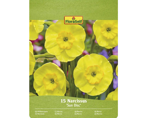 Balení 15 narcisů odrůdy Sun Disc