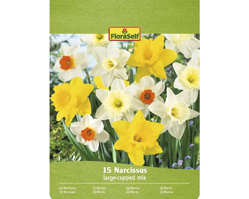 Narcisy mix FloraSelf 10/12 15 ks Balení směsi narcisů s 15 cibulovinami