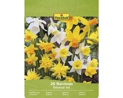 Narcisy FloraSelf 'Botanický mix' 20 ks Cibulky narcisů FloraSelf, botanická směs, balení 20 kusů