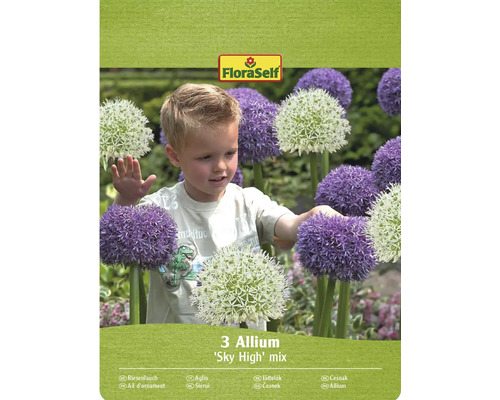 Okrasný česnek FloraSelf 'Sky High' mix 3 ks Balení 3 cibulek okrasného česneku 'Sky High' mix s logem FloraSelf