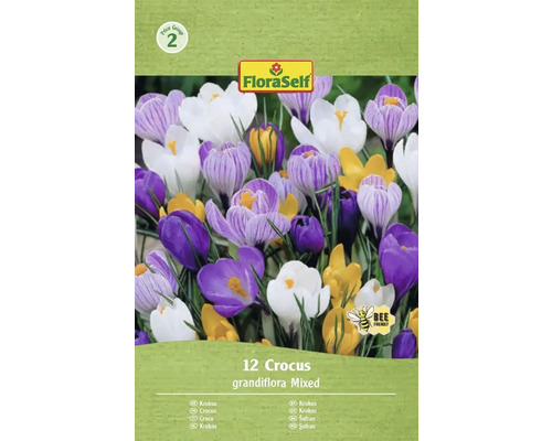 Krokusy FloraSelf 'Grandiflora mix' 12 ks Balení 12 krokusů, odrůda Grandiflora Mixed