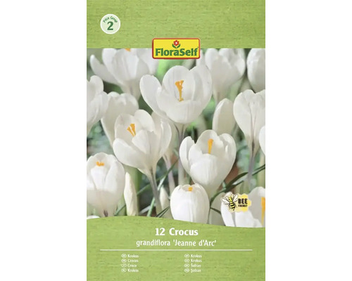 Krokusy FloraSelf 'Jeanne d'Arc' 12 ks Balení dvanácti cibulí krokus grandiflora Jeanne d'Arc