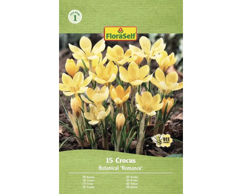 Balení 15 krokusů odrůdy Botanical 'Romance' od FloraSelf