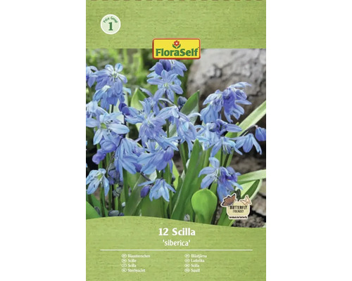 Balení 12 cibulí Scilla siberica od značky FloraSelf