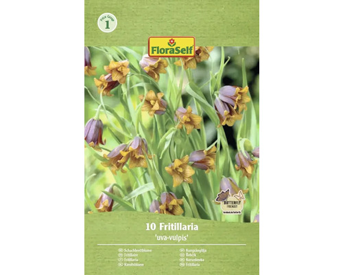 Balení deseti rostlin Fritillaria Uva-Vulpis
