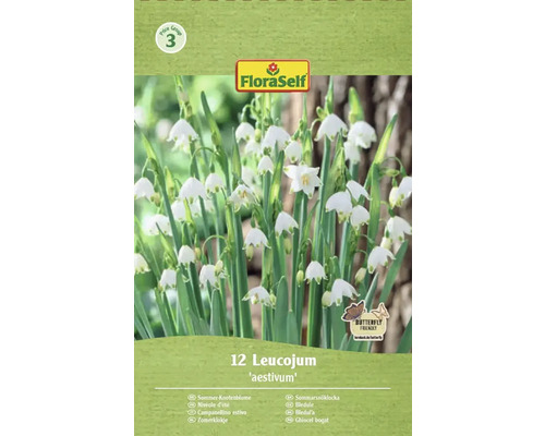 Bledule letní FloraSelf 'Aestivum' 12 ks Balení bledulí Leucojum aestivum