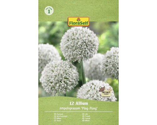 Balení 12 cibulovin okrasného česneku Allium ampeloprasum 'Ping Pong' od firmy FloraSelf
