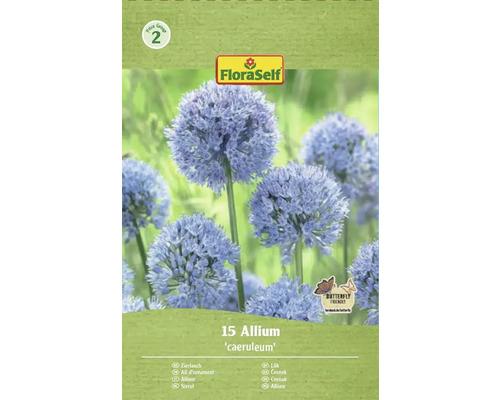 Balení okrasného česneku Allium caeruleum, vhodný pro motýly, od FloraSelf