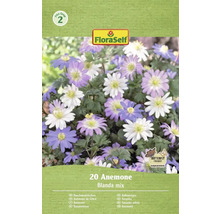 Balení FloraSelf 20 Anemone Blanda mix
