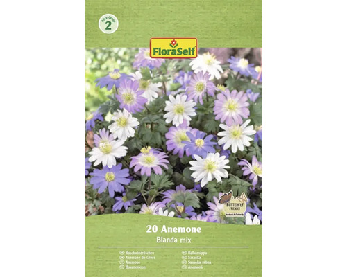 Balení FloraSelf 20 Anemone Blanda mix