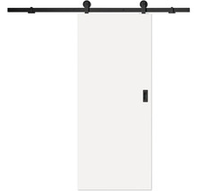 Posuvné dveře s kováním a rukojetí