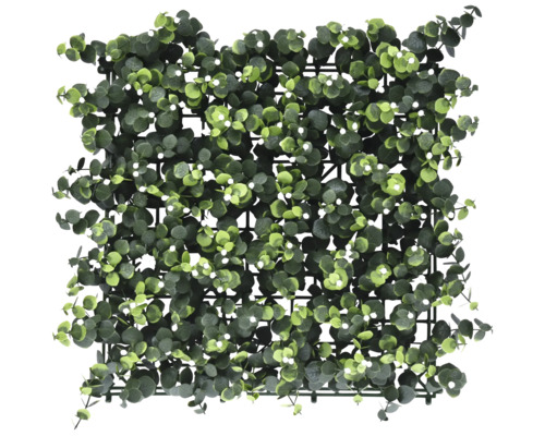 Eukalyptová rohož pro dekoraci stěn