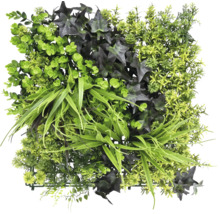 Umělá rostlinná stěna s různými druhy zelených rostlin.