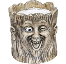 Květináč ve tvaru stromového obličeje s usměvavým výrazem