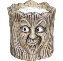 Květináč design tváře stromu