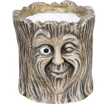 Květináč s tváří stromu z kameniny