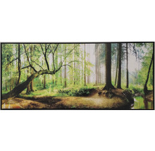 Nástěnný obraz s motivem lesa a kmeny stromů
