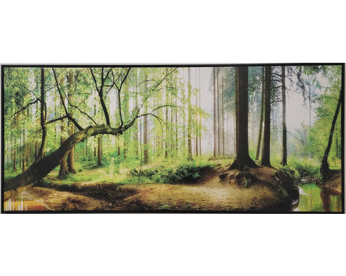 Nástěnný obraz s motivem lesa a kmeny stromů