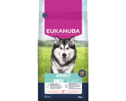 Krmivo pro psy Eukanuba Adult Large salmon 12kg Eukanuba Adult suché krmivo pro dospělé psy s lososem a ječmenem