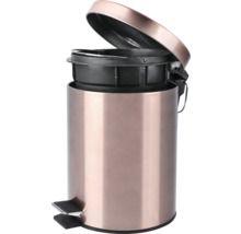 Kovový odpadkový koš s vyjímatelným vnitřním košem