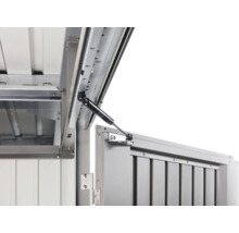 Detail pohled na dveře zahradního domku s plynovou pružinou