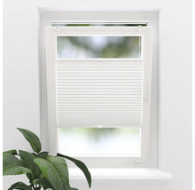 Okno s bílou plisovanou roletou a pokojovou rostlinou