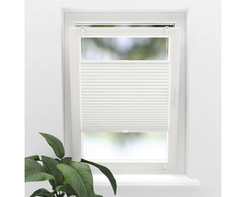 Okno s bílou plisovanou roletou a pokojovou rostlinou