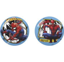 Sada dvou míčů Spiderman