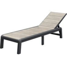 Zahradní lehátko s nastavitelným opěradlem a rámem