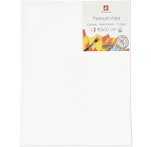 The Wall Art Premium Artist plátno, 40x50 cm, trojité balení