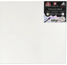 Malířské plátno na rámu o rozměrech 100 x 100 cm