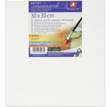 Karton s plátnem, 30 x 30 cm, vhodný pro tempery, kvaš, akrylové barvy a olejové barvy
