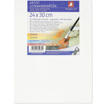 The Wall Art malířské plátno, 24 x 30 cm, vhodné pro tempery, kvaš, akrylové barvy a olejové barvy