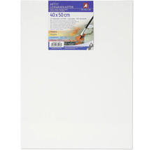 Karton s plátnem, 40x50 cm, vhodný pro hobby malíře i profesionály, předem napenetrovaný, 100procentní bavlna
