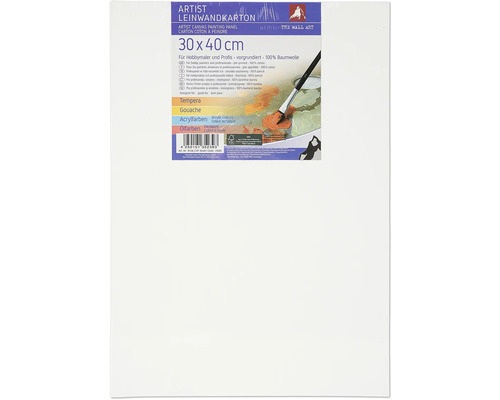 Malířské plátno 30x40 cm Umělecké plátno 30 krát 40 centimetrů