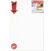 Sada malířských pláten 50x70, 40x50 a 30x40 centimetrů