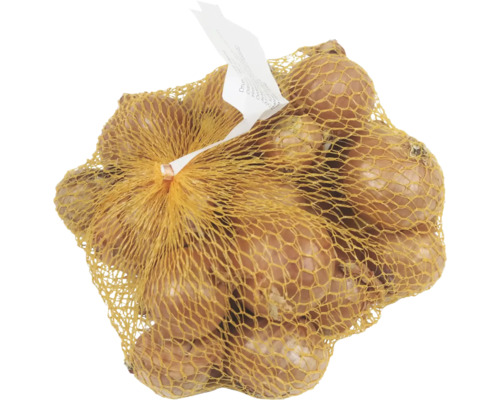 Cibule sazečka žlutá šalotka 500 g Síť s cibulkami